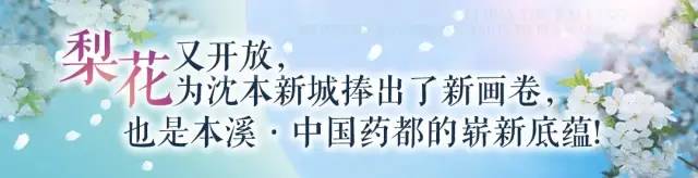 “梨花又開放”——全新中國(guó)藥都?xì)g迎您！